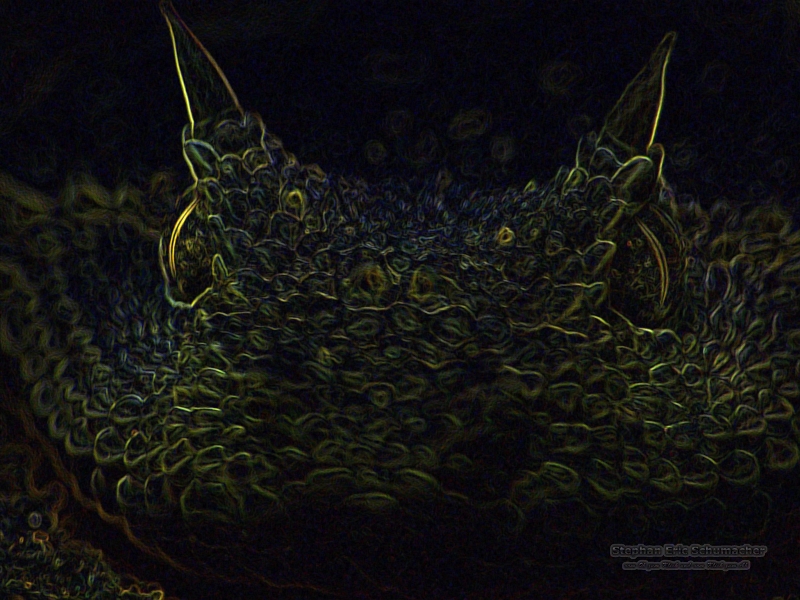 Hornviper leuchtende Konturen 4zu3