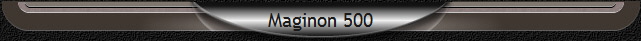 Maginon 500